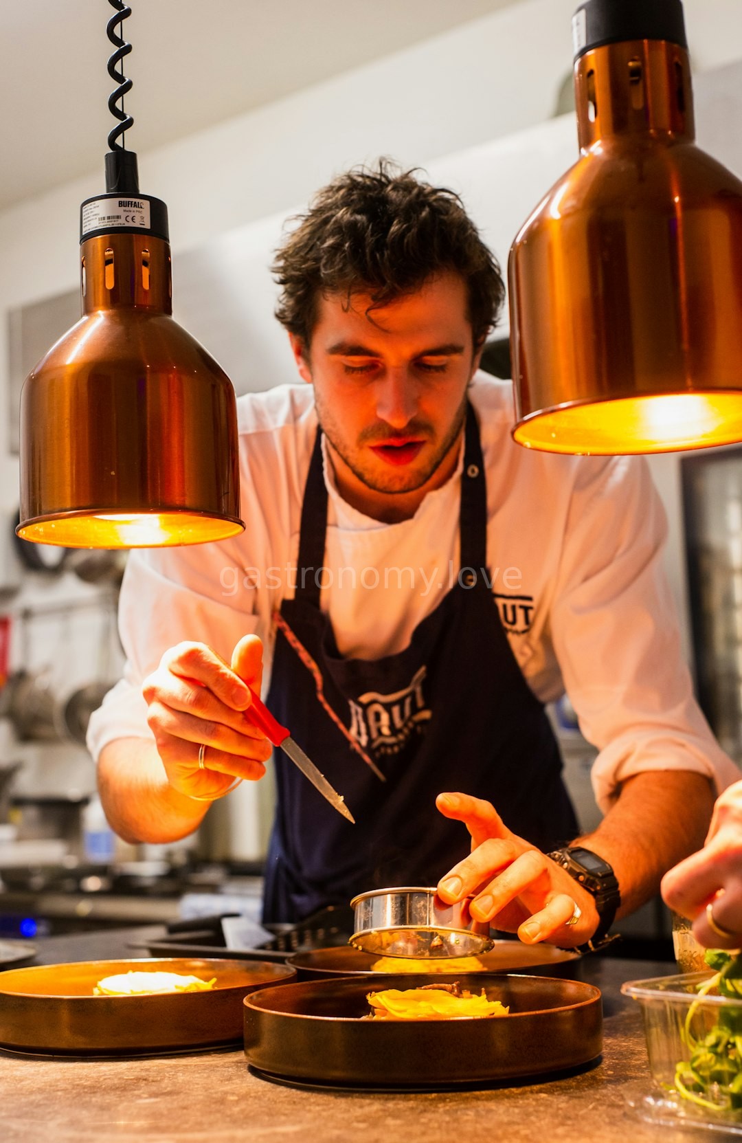 Chef preparing